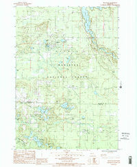 Wellston Michigan Historical topographic map, 1:24000 scale, 7.5 X 7.5 Minute, Year 1987