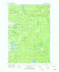 Wellston Michigan Historical topographic map, 1:62500 scale, 15 X 15 Minute, Year 1957