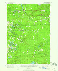 Wellston Michigan Historical topographic map, 1:62500 scale, 15 X 15 Minute, Year 1957