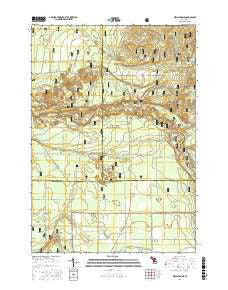 Wellston NE Michigan Current topographic map, 1:24000 scale, 7.5 X 7.5 Minute, Year 2016