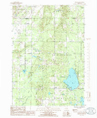 Westwood Michigan Historical topographic map, 1:24000 scale, 7.5 X 7.5 Minute, Year 1985