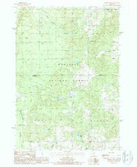Whipple Lake Michigan Historical topographic map, 1:24000 scale, 7.5 X 7.5 Minute, Year 1987