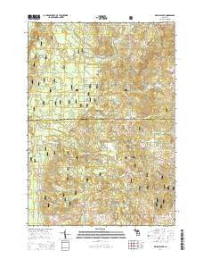 Whipple Lake Michigan Historical topographic map, 1:24000 scale, 7.5 X 7.5 Minute, Year 2014