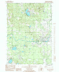 White Cloud Michigan Historical topographic map, 1:24000 scale, 7.5 X 7.5 Minute, Year 1985