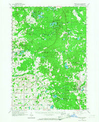 White Cloud Michigan Historical topographic map, 1:62500 scale, 15 X 15 Minute, Year 1959
