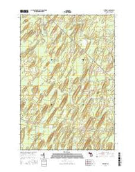 Whitney Michigan Current topographic map, 1:24000 scale, 7.5 X 7.5 Minute, Year 2016