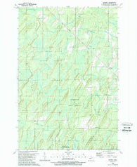 Whitney Michigan Historical topographic map, 1:24000 scale, 7.5 X 7.5 Minute, Year 1989