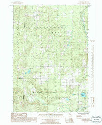 Wildwood Michigan Historical topographic map, 1:24000 scale, 7.5 X 7.5 Minute, Year 1986