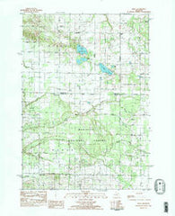 Wiley Michigan Historical topographic map, 1:24000 scale, 7.5 X 7.5 Minute, Year 1983