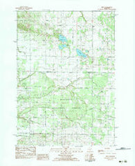 Wiley Michigan Historical topographic map, 1:24000 scale, 7.5 X 7.5 Minute, Year 1983