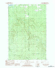 Winona North Michigan Historical topographic map, 1:25000 scale, 7.5 X 7.5 Minute, Year 1982