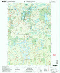 Winslow Lake Michigan Historical topographic map, 1:24000 scale, 7.5 X 7.5 Minute, Year 1999