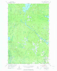 Witch Lake NE Michigan Historical topographic map, 1:24000 scale, 7.5 X 7.5 Minute, Year 1955