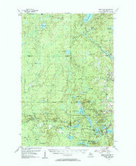 Witch Lake Michigan Historical topographic map, 1:62500 scale, 15 X 15 Minute, Year 1955