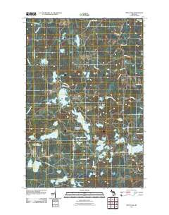 Witch Lake Michigan Historical topographic map, 1:24000 scale, 7.5 X 7.5 Minute, Year 2011