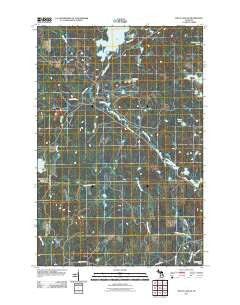 Witch Lake NE Michigan Historical topographic map, 1:24000 scale, 7.5 X 7.5 Minute, Year 2011