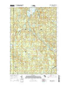 Witch Lake NE Michigan Historical topographic map, 1:24000 scale, 7.5 X 7.5 Minute, Year 2014