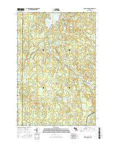 Witch Lake NE Michigan Current topographic map, 1:24000 scale, 7.5 X 7.5 Minute, Year 2016