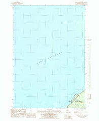 Wood Island SE Michigan Historical topographic map, 1:24000 scale, 7.5 X 7.5 Minute, Year 1984