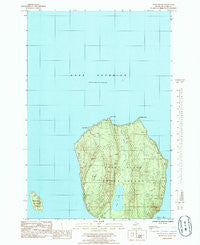 Wood Island Michigan Historical topographic map, 1:24000 scale, 7.5 X 7.5 Minute, Year 1985
