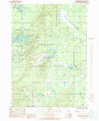 Woodland Park Michigan Historical topographic map, 1:24000 scale, 7.5 X 7.5 Minute, Year 1985