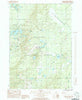 Woodland Park Michigan Historical topographic map, 1:24000 scale, 7.5 X 7.5 Minute, Year 1985