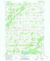 Woodland Michigan Historical topographic map, 1:24000 scale, 7.5 X 7.5 Minute, Year 1981