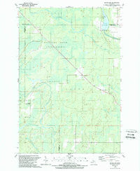 Woodlawn Michigan Historical topographic map, 1:24000 scale, 7.5 X 7.5 Minute, Year 1989