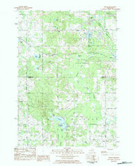 Woods Michigan Historical topographic map, 1:25000 scale, 7.5 X 7.5 Minute, Year 1983
