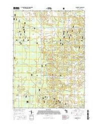 Woodville Michigan Current topographic map, 1:24000 scale, 7.5 X 7.5 Minute, Year 2017