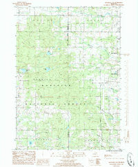 Woodville NE Michigan Historical topographic map, 1:24000 scale, 7.5 X 7.5 Minute, Year 1985