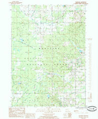 Woodville Michigan Historical topographic map, 1:24000 scale, 7.5 X 7.5 Minute, Year 1985