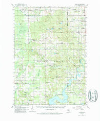 Woodville Michigan Historical topographic map, 1:62500 scale, 15 X 15 Minute, Year 1958