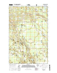 Alvwood Minnesota Current topographic map, 1:24000 scale, 7.5 X 7.5 Minute, Year 2016