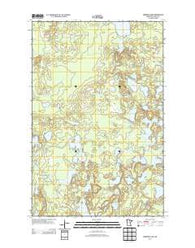 Anderson Lake Minnesota Historical topographic map, 1:24000 scale, 7.5 X 7.5 Minute, Year 2013
