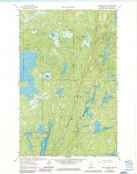 Angleworm Lake Minnesota Historical topographic map, 1:24000 scale, 7.5 X 7.5 Minute, Year 1963