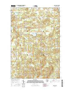 Arnold Minnesota Current topographic map, 1:24000 scale, 7.5 X 7.5 Minute, Year 2016