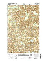 Ash River SE Minnesota Current topographic map, 1:24000 scale, 7.5 X 7.5 Minute, Year 2016