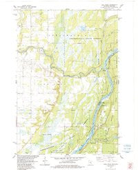 Bass Creek Minnesota Historical topographic map, 1:24000 scale, 7.5 X 7.5 Minute, Year 1983