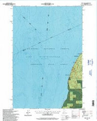 Bena NW Minnesota Historical topographic map, 1:24000 scale, 7.5 X 7.5 Minute, Year 1996