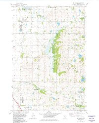 Big Slough Minnesota Historical topographic map, 1:24000 scale, 7.5 X 7.5 Minute, Year 1981