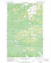 Birchdale SW Minnesota Historical topographic map, 1:24000 scale, 7.5 X 7.5 Minute, Year 1968