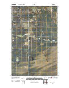 Birchdale SE Minnesota Historical topographic map, 1:24000 scale, 7.5 X 7.5 Minute, Year 2010