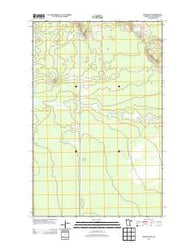 Birchdale SE Minnesota Historical topographic map, 1:24000 scale, 7.5 X 7.5 Minute, Year 2013