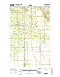Birchdale SE Minnesota Current topographic map, 1:24000 scale, 7.5 X 7.5 Minute, Year 2016