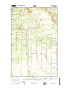 Birchdale SE Minnesota Current topographic map, 1:24000 scale, 7.5 X 7.5 Minute, Year 2016