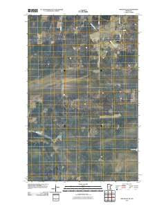 Birchdale SW Minnesota Historical topographic map, 1:24000 scale, 7.5 X 7.5 Minute, Year 2010