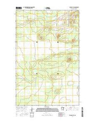 Birchdale SW Minnesota Current topographic map, 1:24000 scale, 7.5 X 7.5 Minute, Year 2016