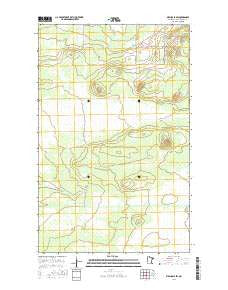 Birchdale SW Minnesota Current topographic map, 1:24000 scale, 7.5 X 7.5 Minute, Year 2016