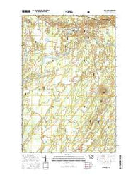 Bird Lake Minnesota Current topographic map, 1:24000 scale, 7.5 X 7.5 Minute, Year 2016